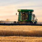 Wheat harvest photo by Loribeth Reynolds, Hutchinson, Kansas.