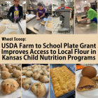 Image: USDA Farm to School Plate Grant Improves Access to Local Flour in Kansas Child Nutrition Programs. 